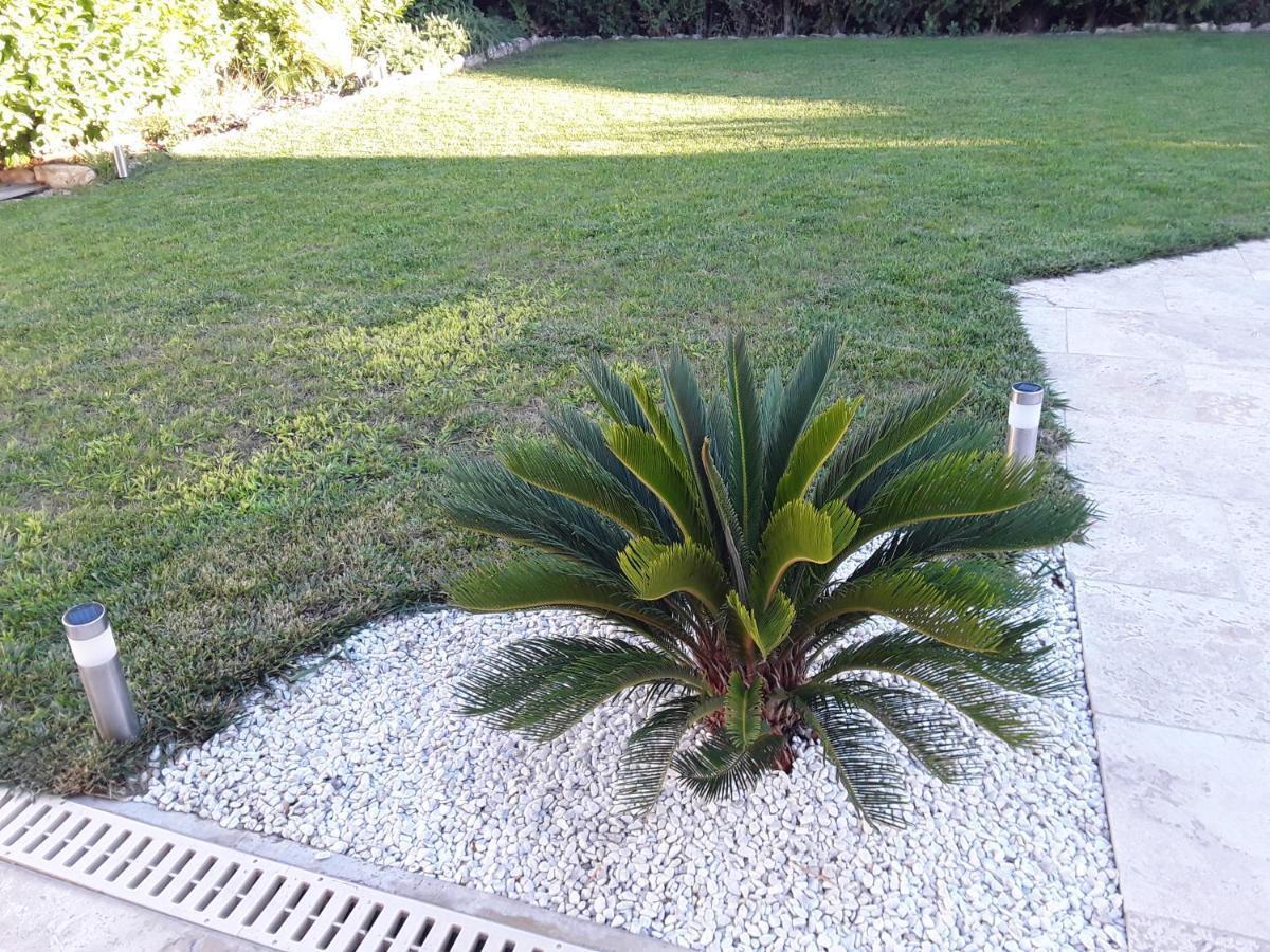 Apartament Yofanto Sénas Zewnętrze zdjęcie